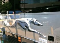 Greyhound Adds 60 New Buses to its Fleet